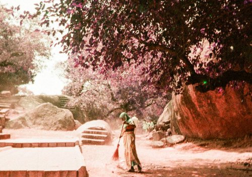 Kodak Ektar H35N LomoChrome Purple Film 100-400