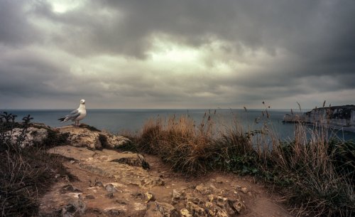 Contax G2 , Carl Zeiss 21mm F2.8 , Kodak Ektar Film.