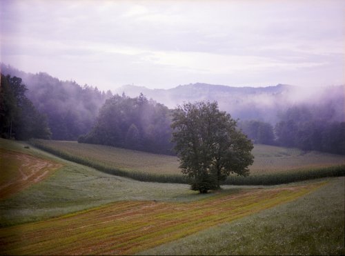 Kodak Portra 160 120 Mamiya 645 Pro