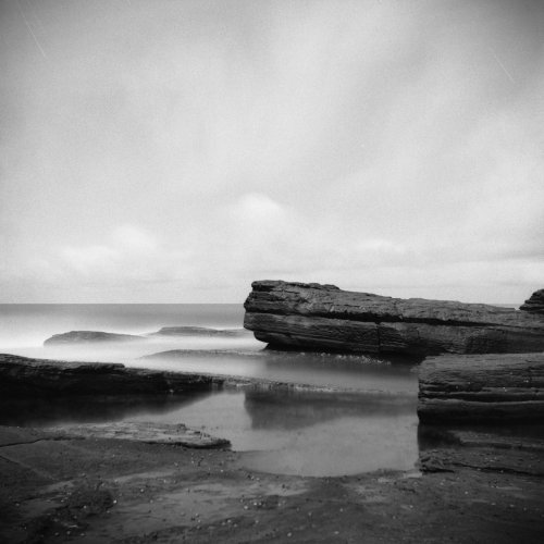 Kodak Professional Tri-X 400 Black and White Negative Film (120, 1 Roll)