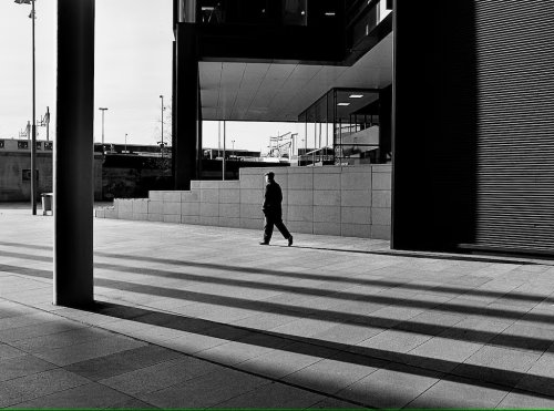 Чорно-біла плівка Kodak Tri-X 400 (120, 1 катушка)