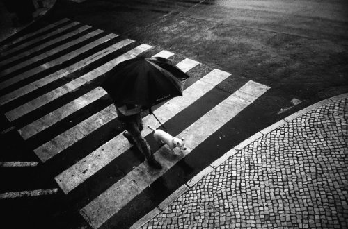 Фотоплівка Kodak Tri-x 400TX (135/36) ч/б негативна