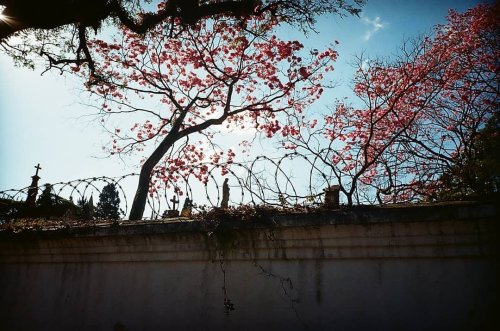 kodak-easy-load-35-kodak-color-200
