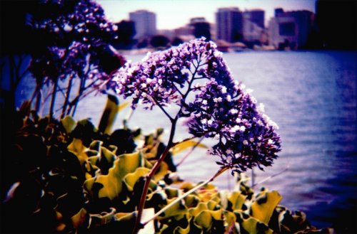 Фотокамера конструктор 