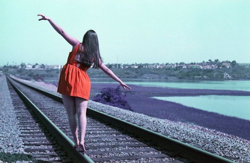 Lomography Simple Use плівкова камера Purple Challenger Edition