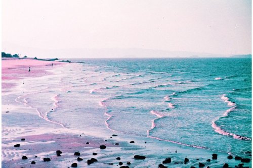 Lomography LomoChrome Purple XR ISO 100-400 Petillant Edition 