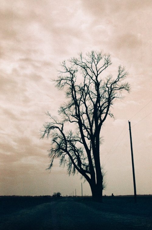 LomoChrome Turquoise 35 мм плівка 