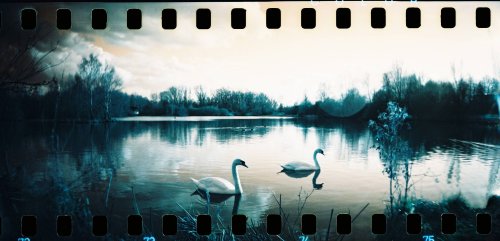 Lomography Turquoise плівка купити