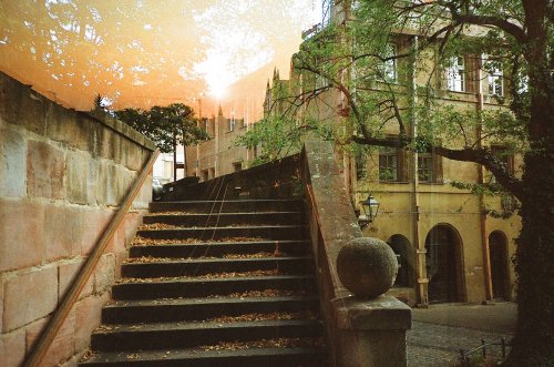 lomo lc-a+