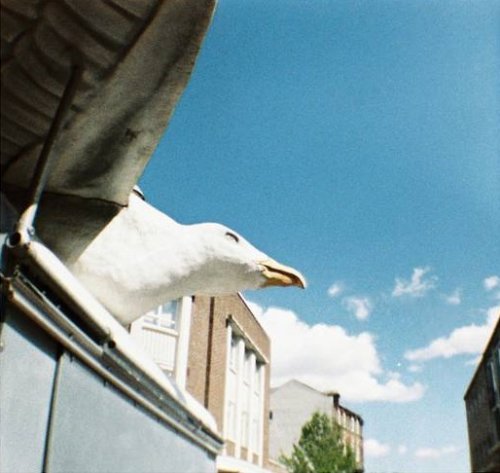 Lomography Color Tiger 110 200 ASA кольорова плівка 