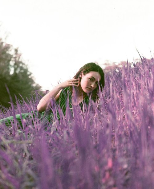 Lomography LomoChrome Purple Petillant Edition ISO 100-400 120мм