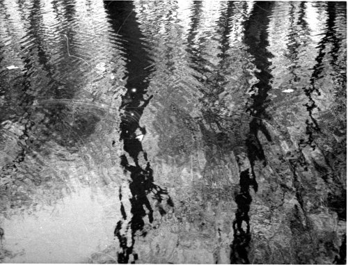 Lomography Orca 110 Agfamatic 3000