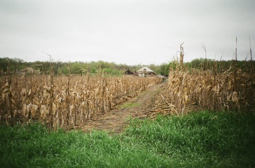 Fujicolor 200