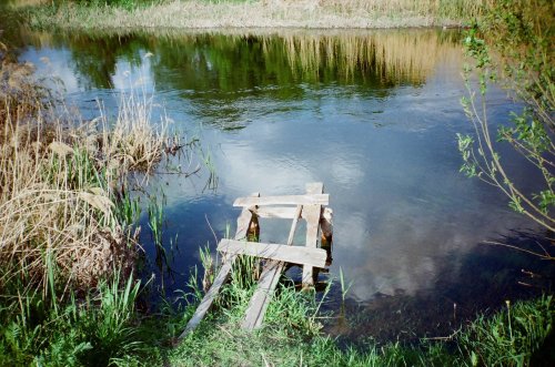 colorplus 200