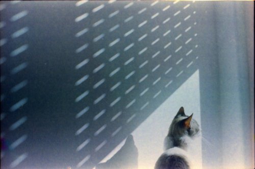 Kodak UItramax 400