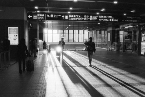 Lomography Lady Grey B&W 400