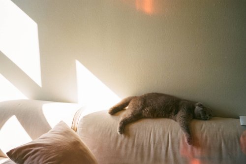 Fuji Superia 200 плівкова камера Olympus камера