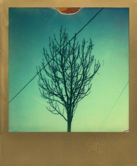 PX 680 Color Protection Gold