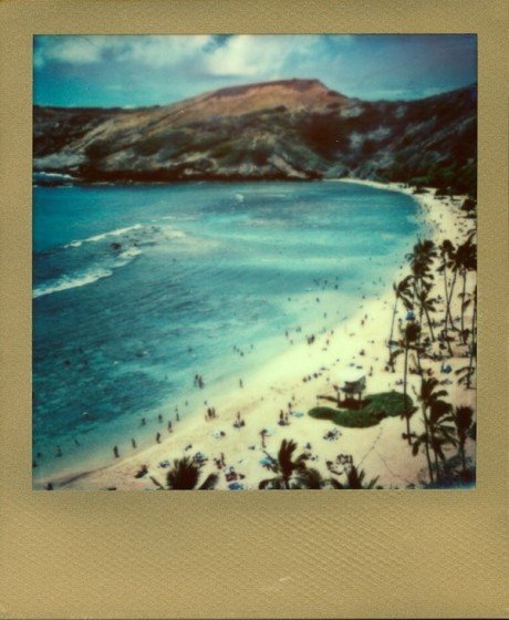 Кассета Polaroid 600 Color золотая рамка