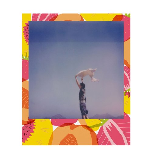 Polaroid 600 Summer Fruits Limited