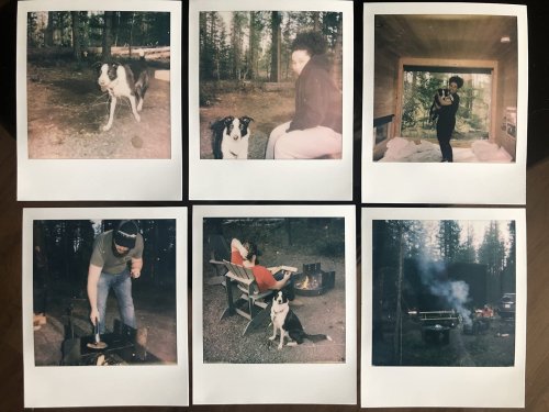 Polaroid Polaroid Color Film for i-Type x40 film pack