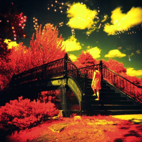 Holga120N-  double exposed Kodak EIR (color infrared) Aerochrome - (E6 process) Holga 120 N - Tiffen Red 25 filter