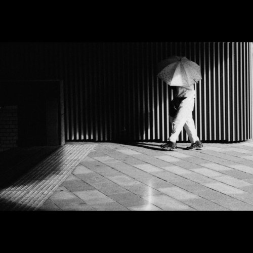 Kodak Professional T-Max P3200 чорно біла фотоплівка (36 кадрів)