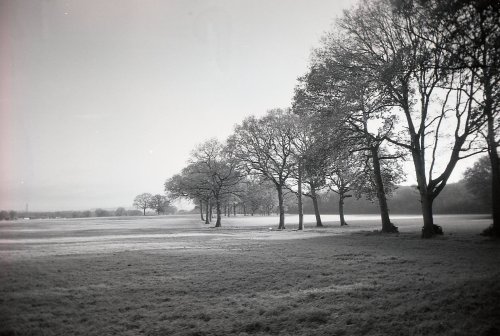 Ilford XP2 400 