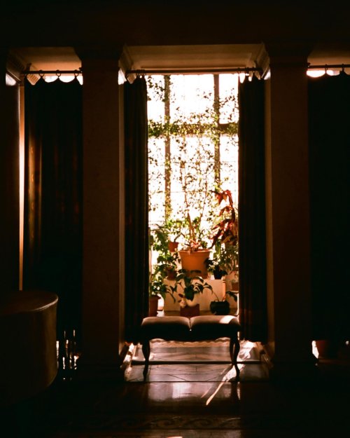 kodak aerocolor 125