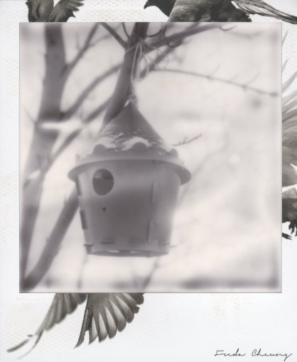 Кассета полароид PX 600 SILVER SHADE MINT EDITION
