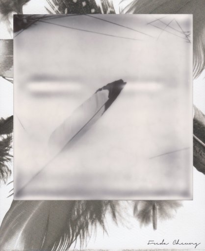 Кассета полароид PX 600 SILVER SHADE MINT EDITION