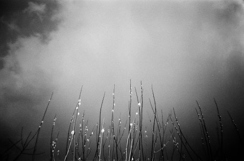 Agfa Aviphot PAN 200