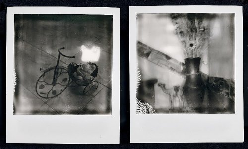 Polaroid 600 Cool Cam 
