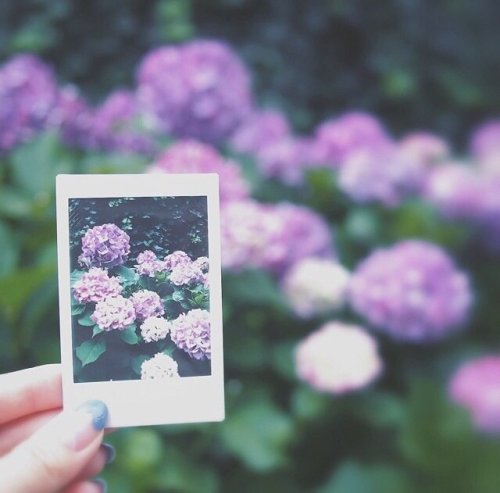 Кассеты Fujifilm Instax mini glossy